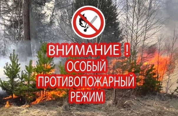 На территории Ульяновской области установлен пожароопасный сезон с 6 апреля по 31 октября 2026 года.